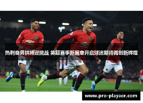 热刺奋勇拼搏迎挑战 英超赛季新篇章开启球迷期待再创新辉煌