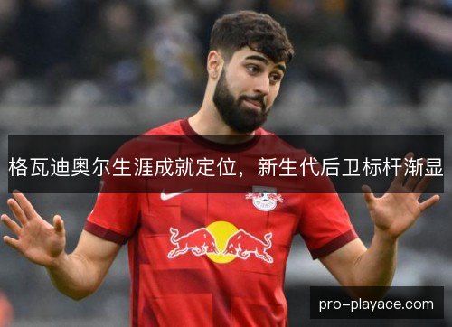 格瓦迪奥尔生涯成就定位，新生代后卫标杆渐显